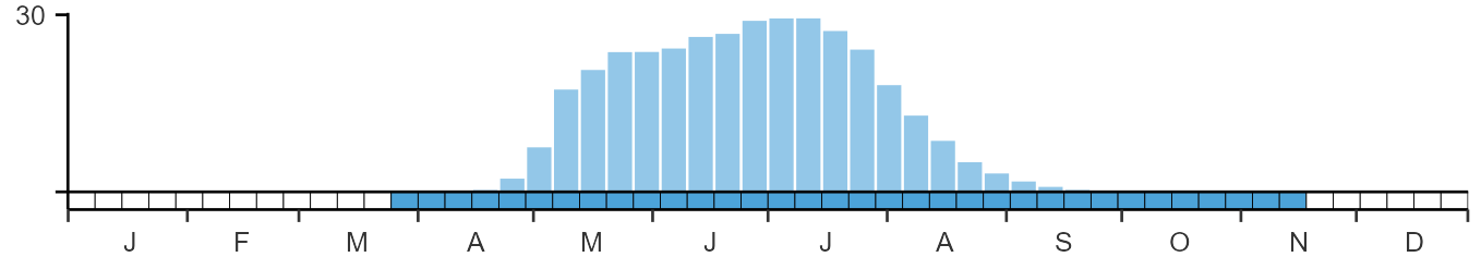 Weekly occurence of Swift from BirdTrack