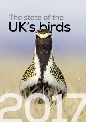 State of UK Birds 2017 cover
